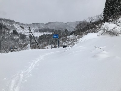 IMG_5646