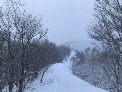 IMG_6113