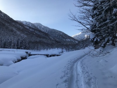 IMG_6173