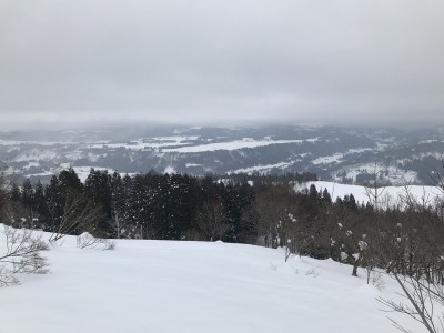 IMG_6224