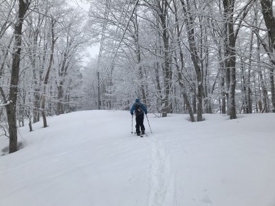 IMG_6492