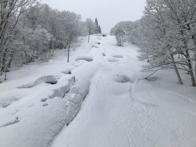 IMG_6508